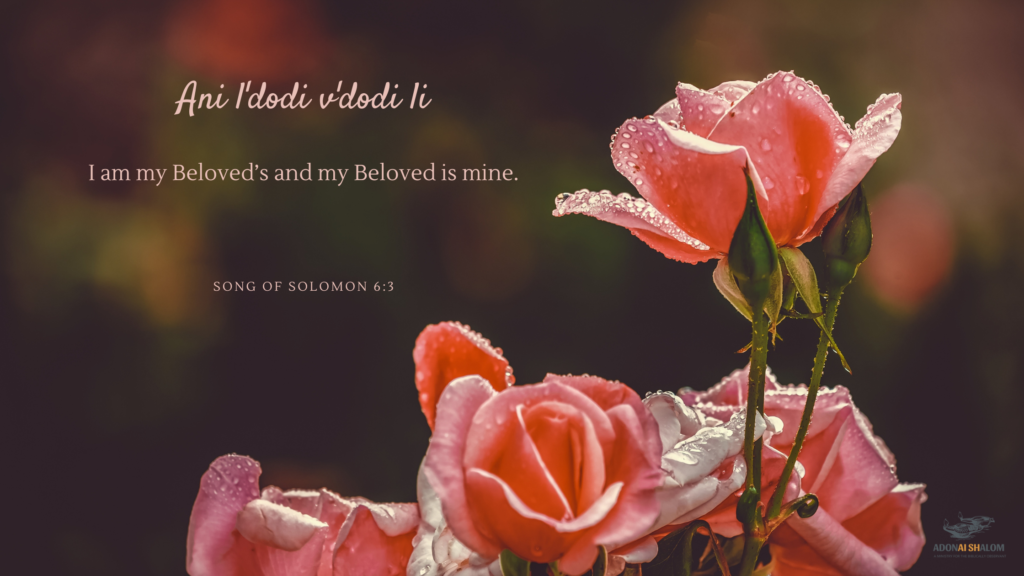 The Shabbat Drop — Kosher Duck Revolution