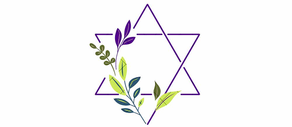 The Shabbat Drop — Kosher Duck Revolution
