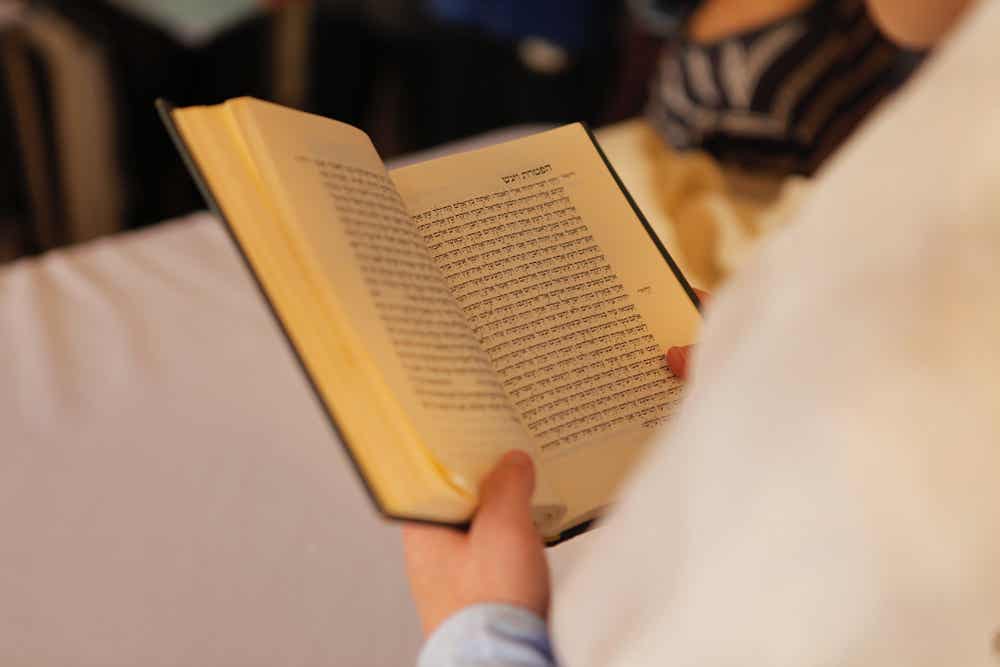 The Shabbat Drop — Kosher Duck Revolution