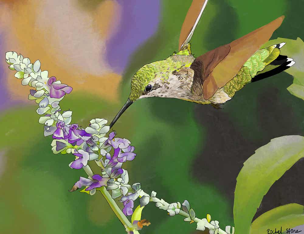 Image of a green and brown bird and a floral branch with purple and white blossoms.