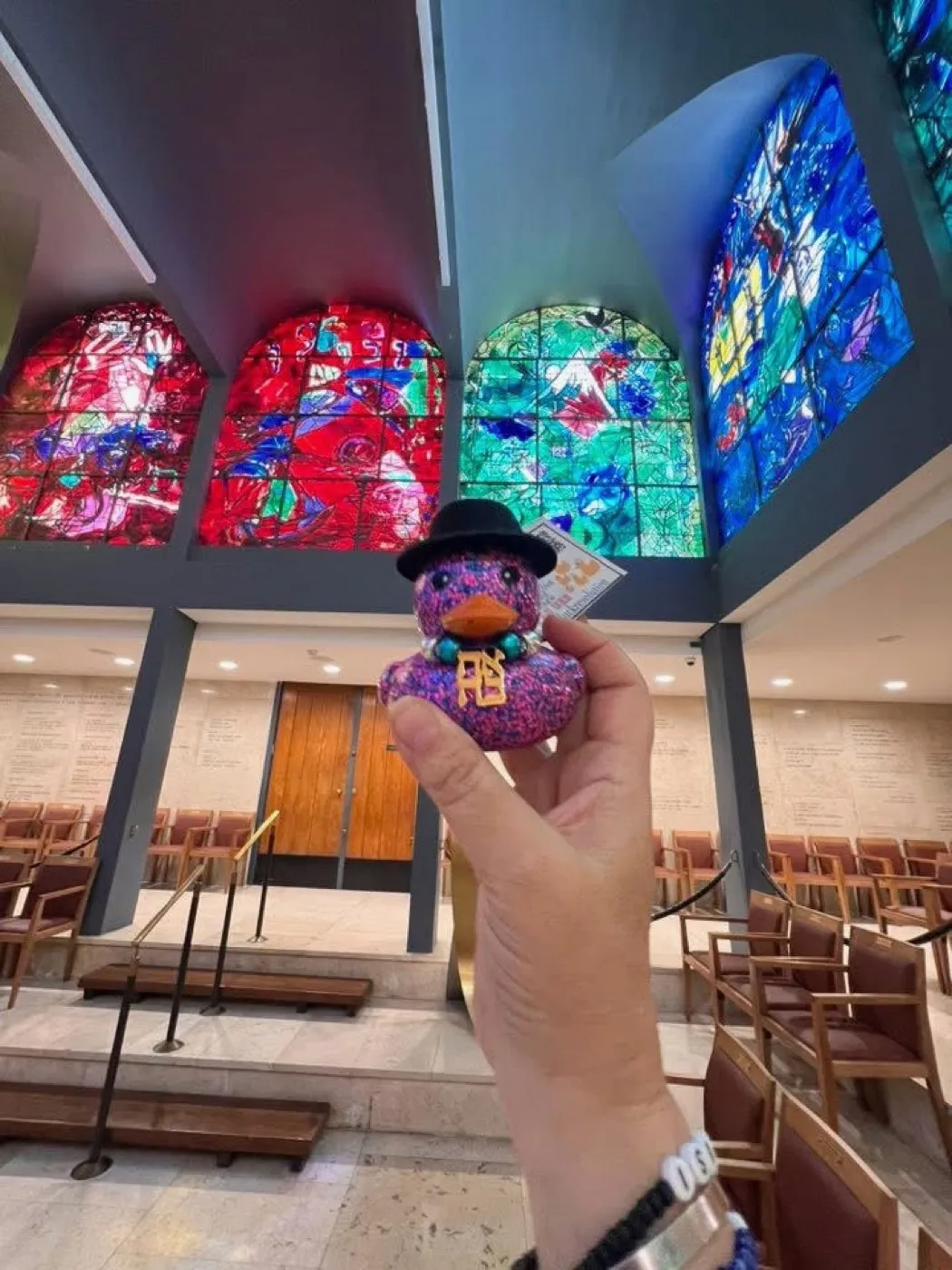 A Duck Under the Chagall Windows — Jerusalem, Israel