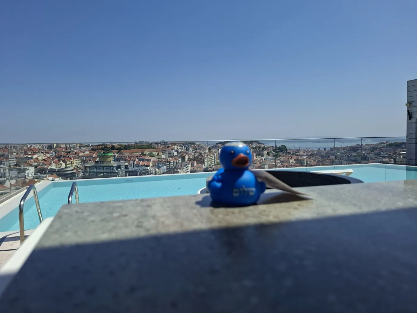 Epic duck — Lisbon, Portugal