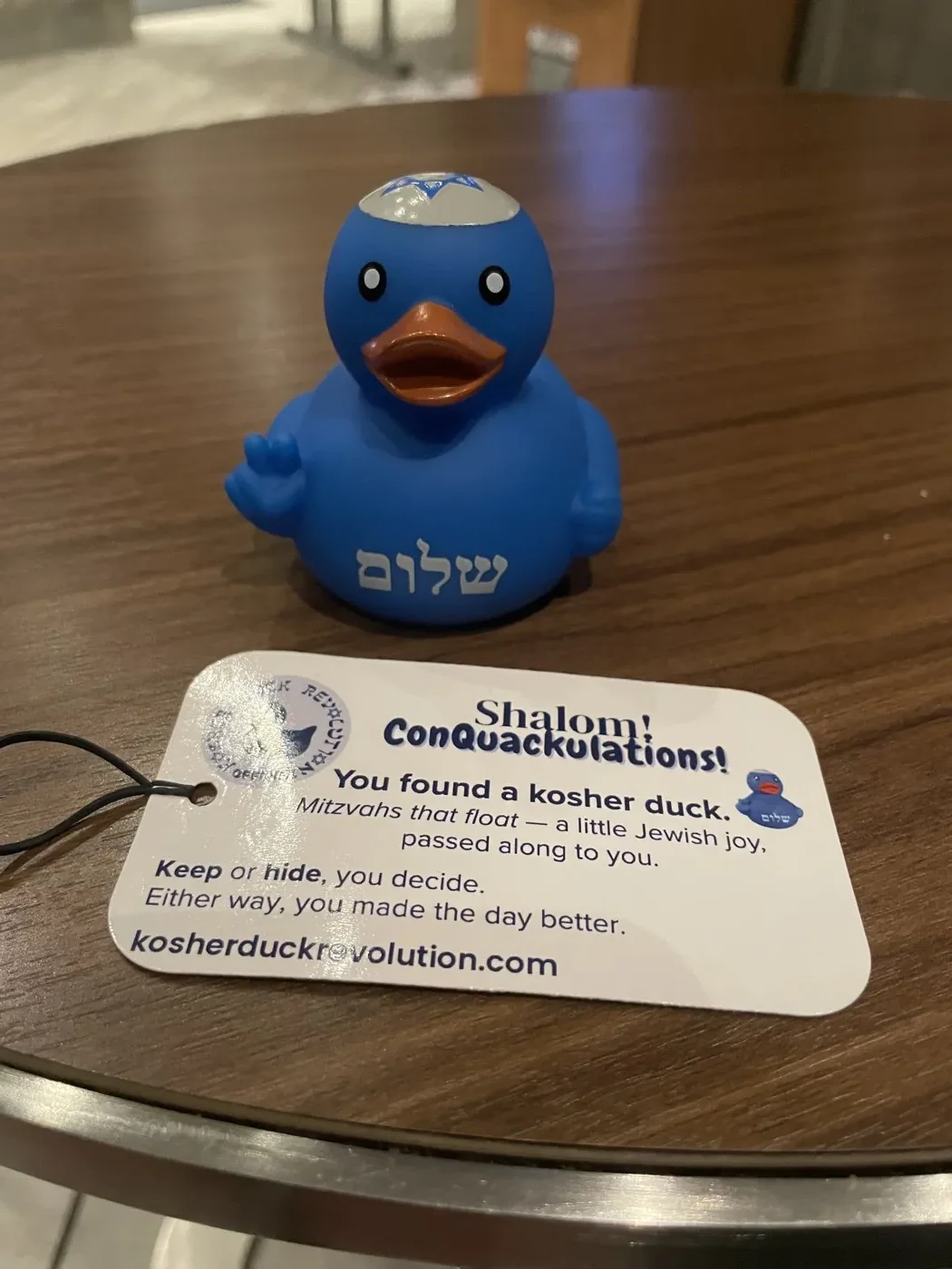 Kosher duck in Times Square — New York, USA