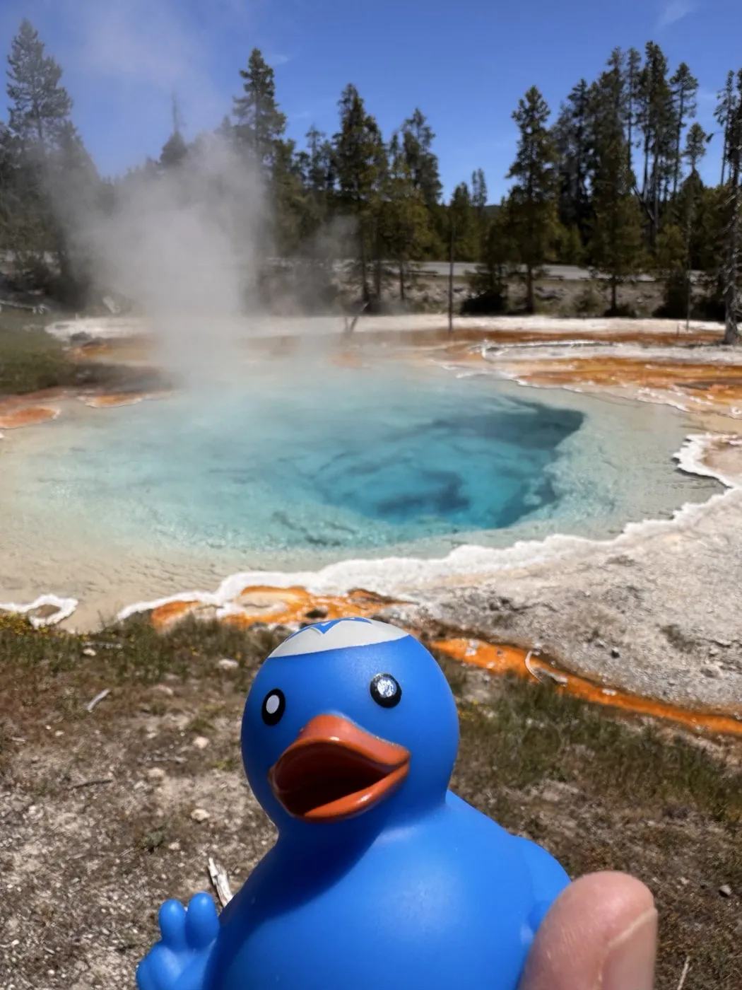 Yellowstone is ducking beautiful — Yellowstone National Park, Wyoming, USA