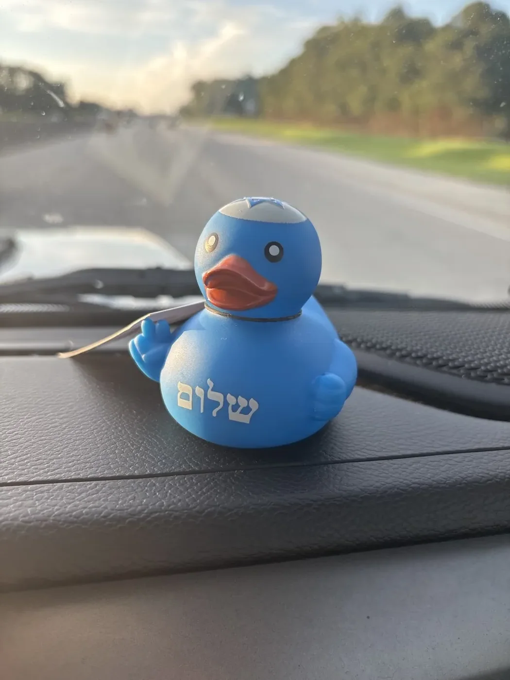 Circle K Duck